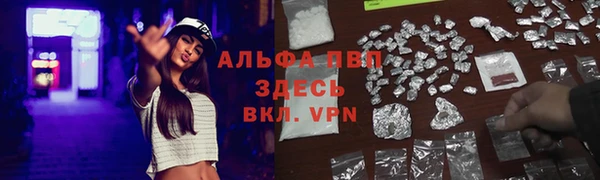apvp Алексин