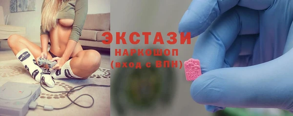 ECSTASY Алзамай