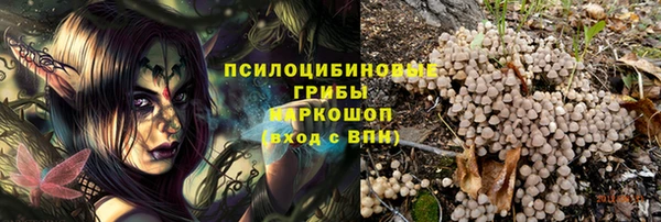 apvp Алексин